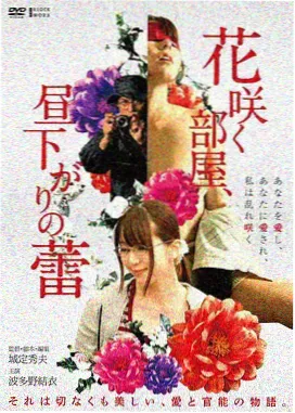 星际回声电影海报